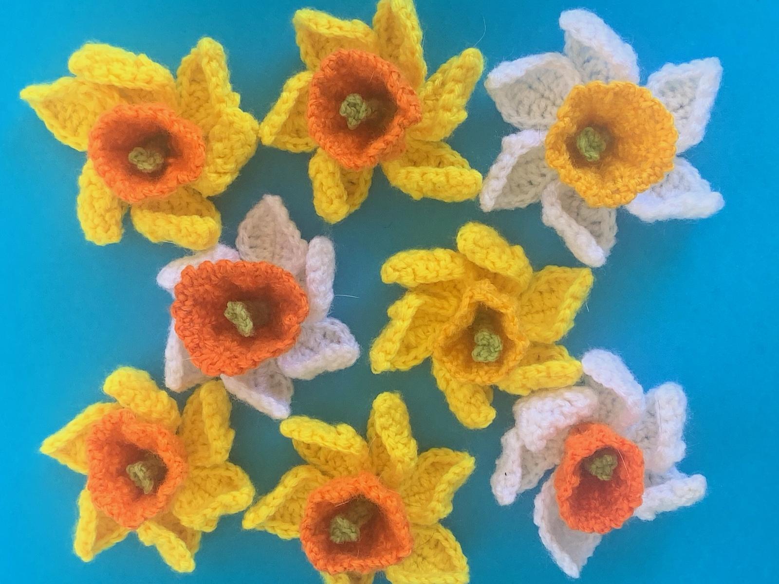 Daffodil