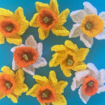 Daffodil