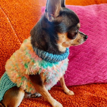 Pull Yeti pour petits chiens