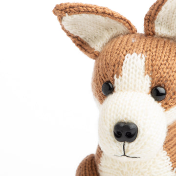 Pembroke Welsh Corgi in Deramores Studio DK - Downloadable PDF
