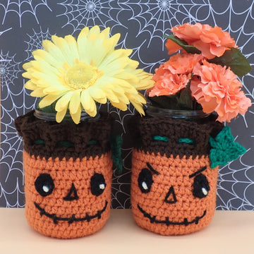 Pumpkin Pouch/ Cozy