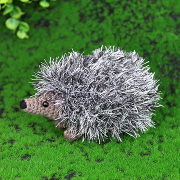 Curious hedgehog