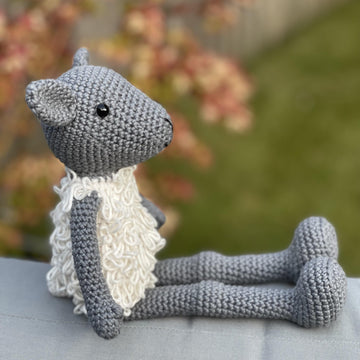 Lyra the lamb