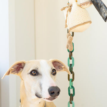 Dog Treat and Poop bag holder