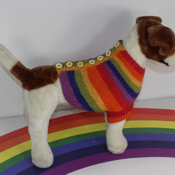 Small Dog Rainbow Back Button Up Dog Coat