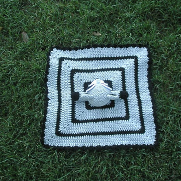 Raccoon Lovey / Security Blanket