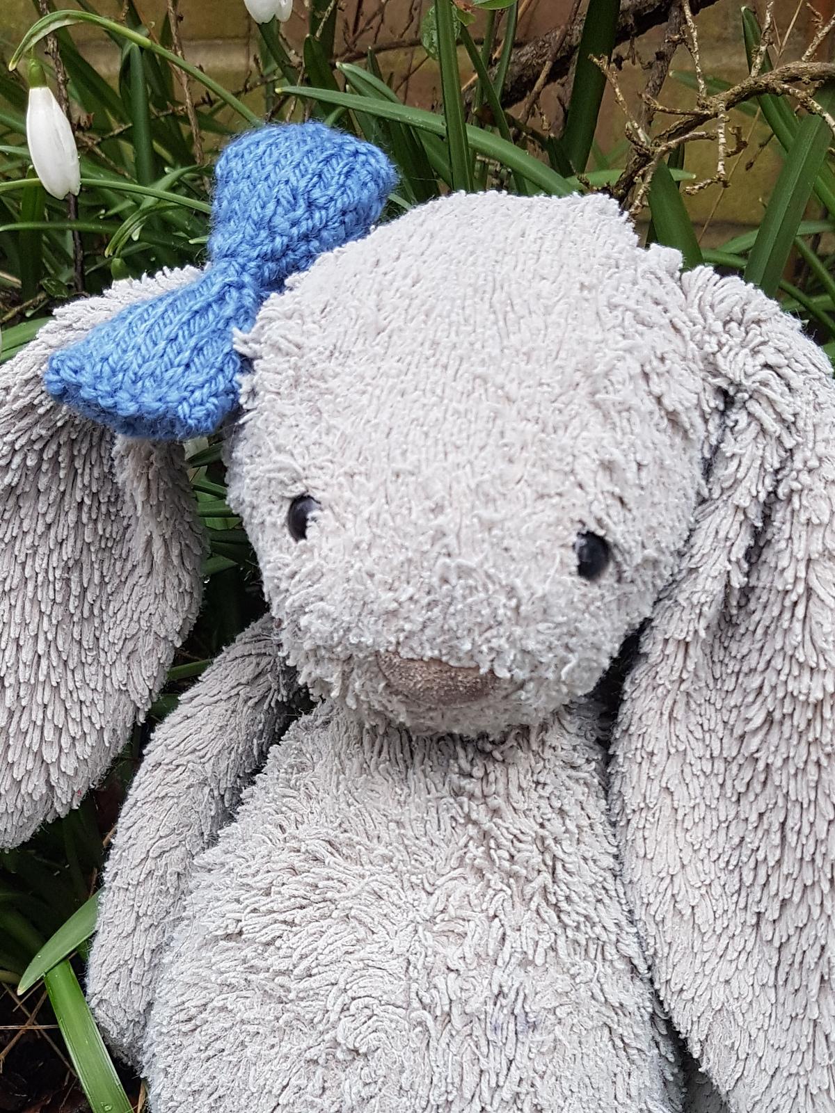 Knitted Bows