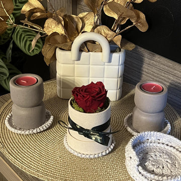 Coasters & Holder