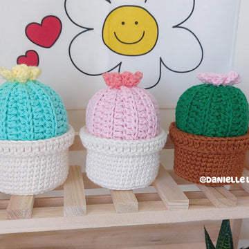 Cactus pin cushion with storage box