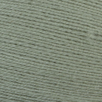 Silver Sage (406)