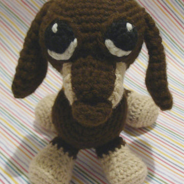 Dachshund puppy dog