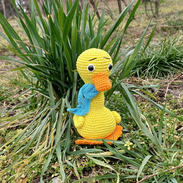 Clotild duck