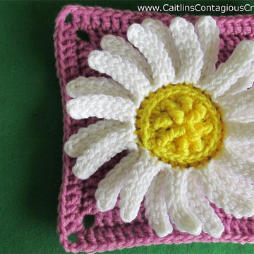 Daisy Square and Plain Square