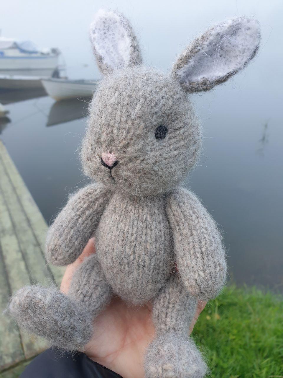 Bunny Rabbit in Blue Jacket