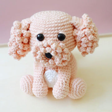 Camille the Cavoodle