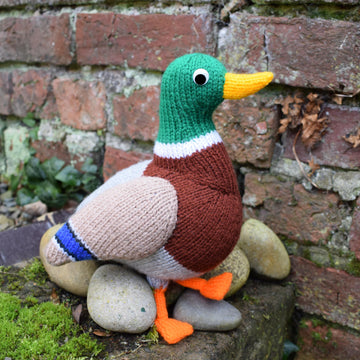 Malcolm the Mallard