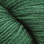 Shamrock (167)