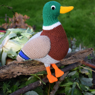 Malcolm the Mallard
