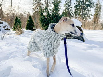 Doggo no 12 sweater
