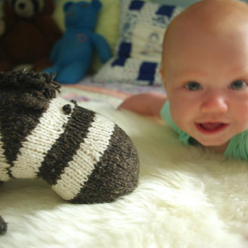 Zienna the Zebra
