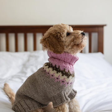 Happy Dog Sweater