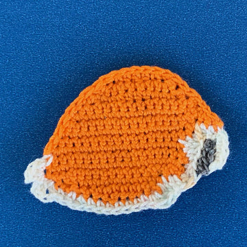 Cowrie Shell
