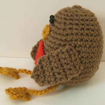 Rocky the Robin