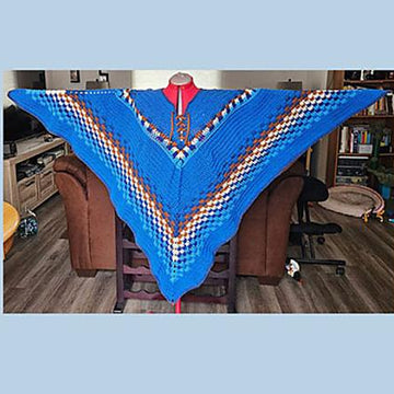 Bluebird Poncho