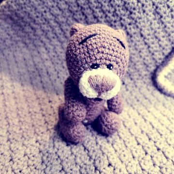 Pocket Bear