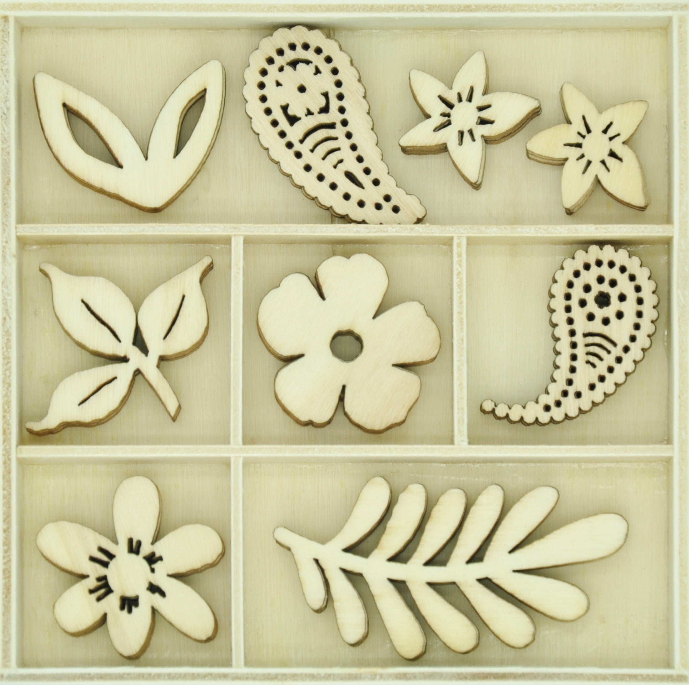 Kaisercraft Wood Mini Themed Embellishments - Paisley, 45/Pkg