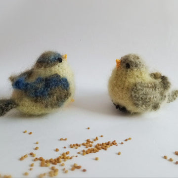 Sparrow