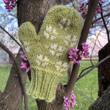 Petite Fleur Mittens