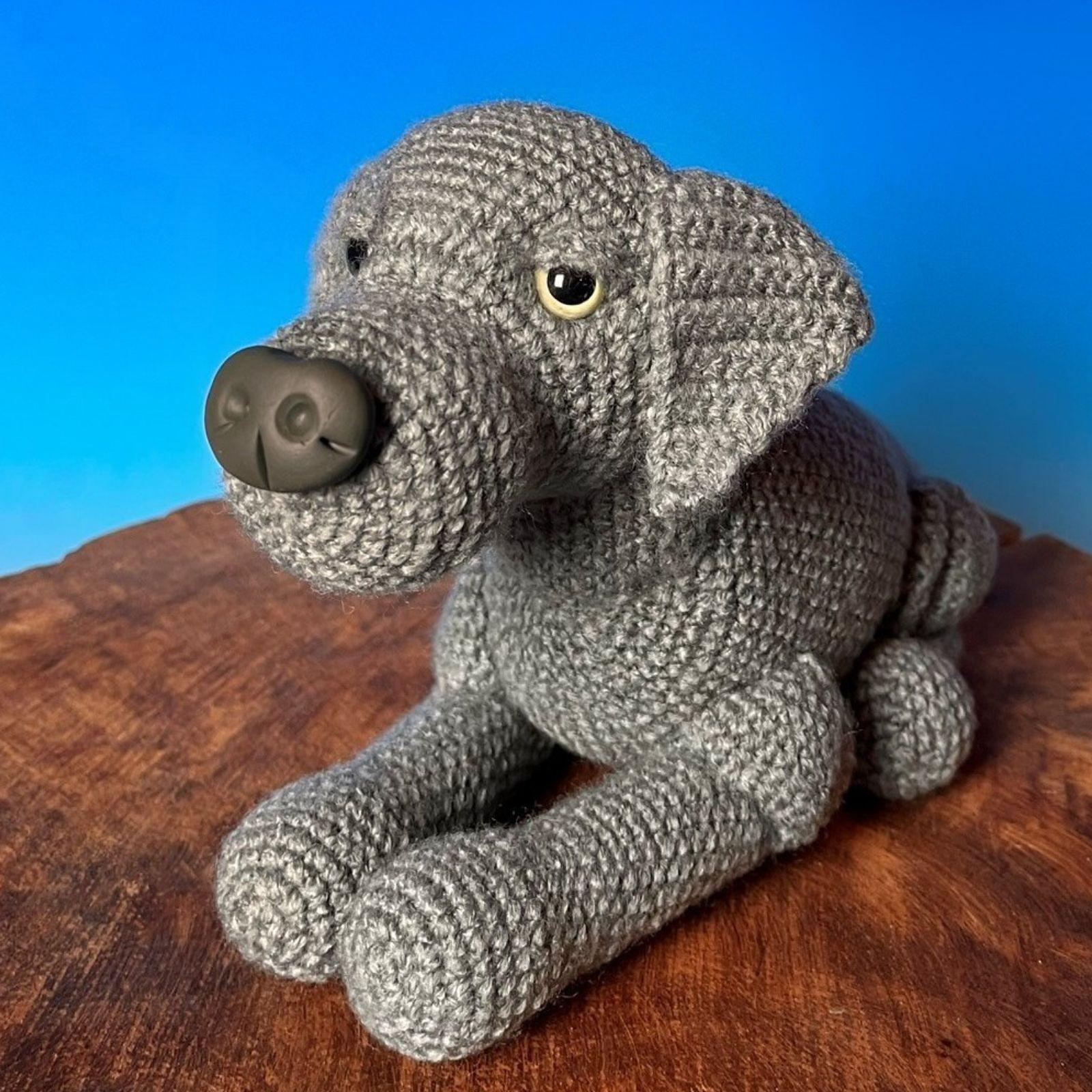 Labrador liegend