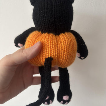 Pumpkin kitty