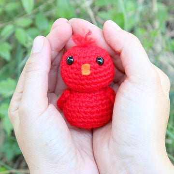 Baby Birds in a Nest