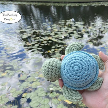 Turtles