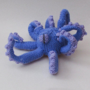 Octopus Chocolate Orange Cosy