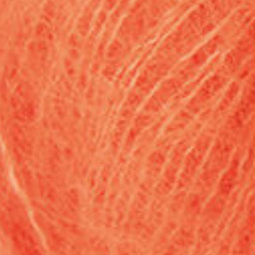 Pumpkin (728)