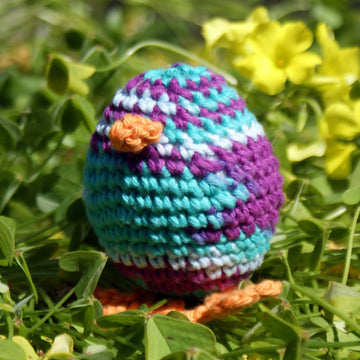 Pip the Chick Egg