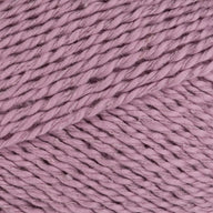 Wisteria (2822)