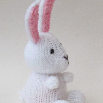April Bunny Chocolate Orange Cosy