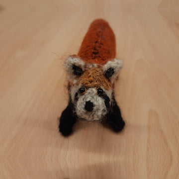 Red panda