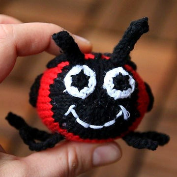 Marie the Ladybug