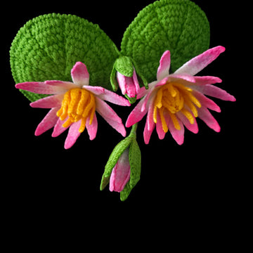 Crochet Water lily flowers pattern