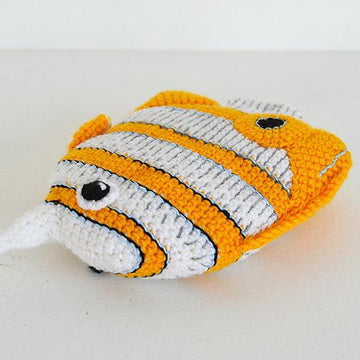 Copperplated Butterfly Fish