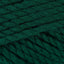Bottle Green (839)
