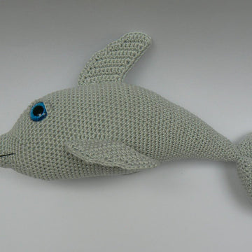 A Happy Dolphin