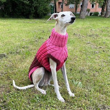 Dog Sweater ASHA CABLE