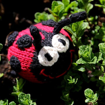 Marie the Ladybug