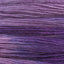 H31 (0031)
